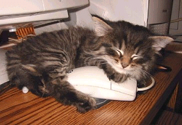 I love Mouse